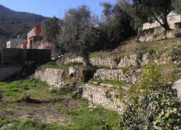 Terrain à vendre    Tourrette-Levens