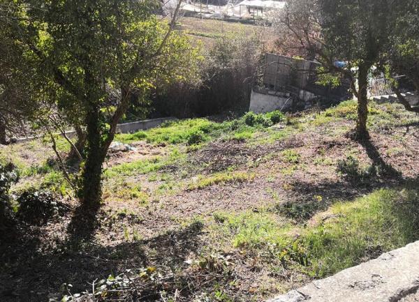 Terrain à vendre    Tourrette-Levens