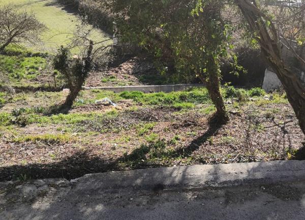 Terrain à vendre    Tourrette-Levens