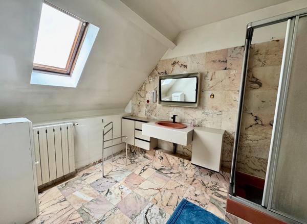 Nanteuil-lès-Meaux (77100) Briarde 244m² avec garage et jardin