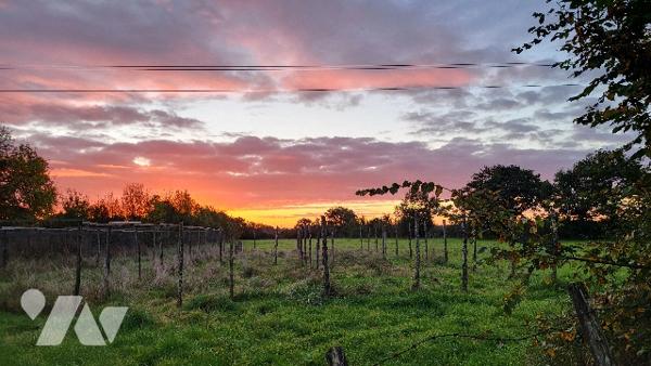 Maison rurale à vendre Précigné dans la Sarthe (72), comprenant :