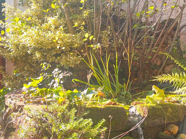 Maison - 7 pièces - 151 m²