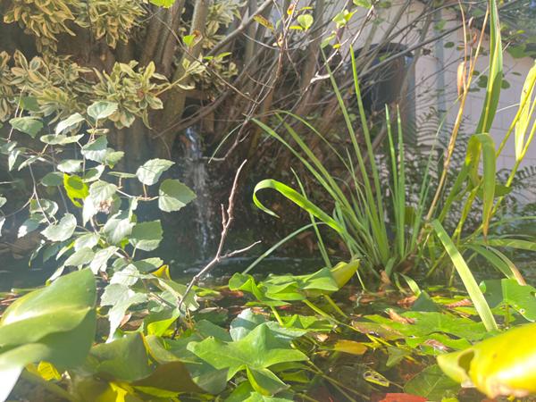 Maison - 7 pièces - 151 m²