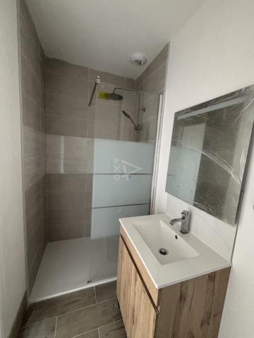 IMMEUBLE  DE  RAPPORT RENOVE