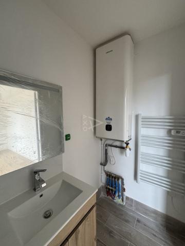 IMMEUBLE  DE  RAPPORT RENOVE