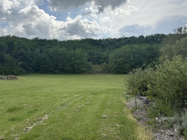 Montaigu-de-Quercy (82150) TARN ET GARONNE Montaigu de Quercy Grange rénovée et maison en pierre, piscine et 2.6 hectares