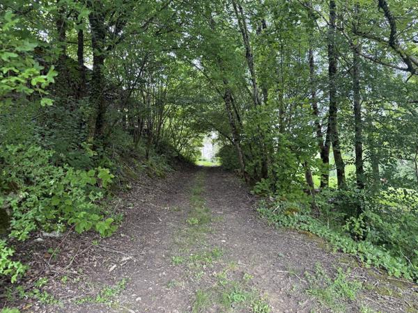 Montaigu-de-Quercy (82150) TARN ET GARONNE Montaigu de Quercy Grange rénovée et maison en pierre, piscine et 2.6 hectares