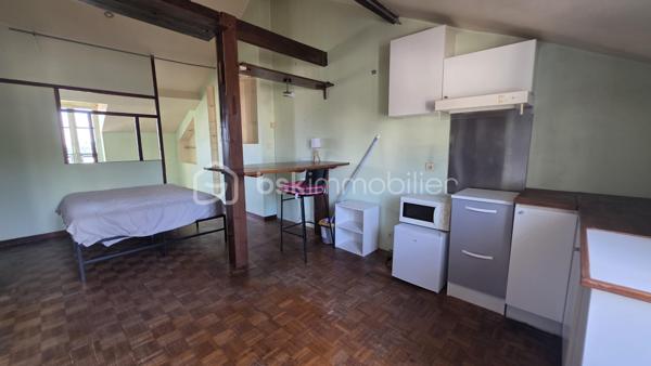 Au calme dans le vieux Saint Germain, grand STUDIO de 30 m2 environ (25 m2 carrez) avec SDB  + cave et grenier.
2me étage sans ascenseur
Fonctionnel . A rénover.
Pas de charge de copro ! 

Plus d'informations par téléphone