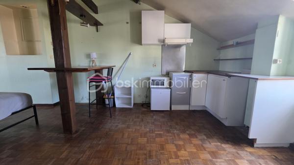 Au calme dans le vieux Saint Germain, grand STUDIO de 30 m2 environ (25 m2 carrez) avec SDB  + cave et grenier.
2me étage sans ascenseur
Fonctionnel . A rénover.
Pas de charge de copro ! 

Plus d'informations par téléphone