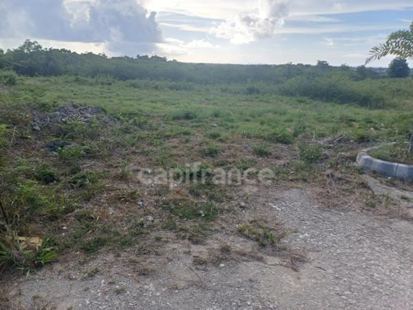 Terrain à vendre proche de Anse Bertrand ()