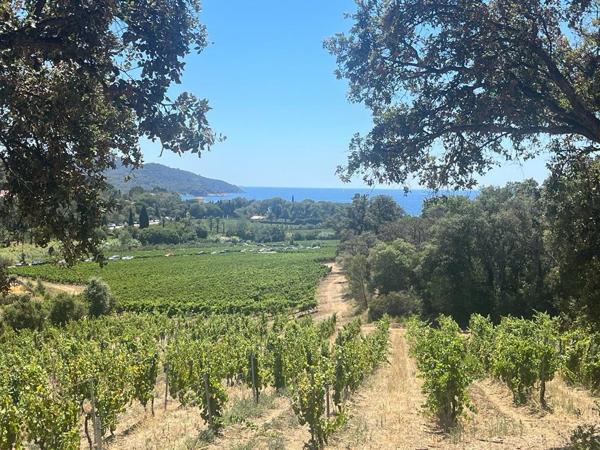 Maison à vendre  5 pièces - 142 m2 LA CROIX VALMER - 83