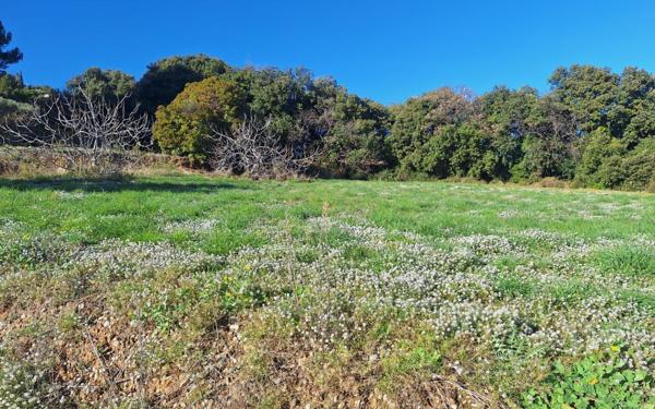 Terrain à vendre    Saint-Laurent-du-Var