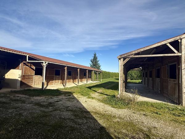 Castelsagrat (82400) CASTELSGRAT Domaine Équestre avec 18ha, 11 Boxes, piscine Tarn et Garonne
