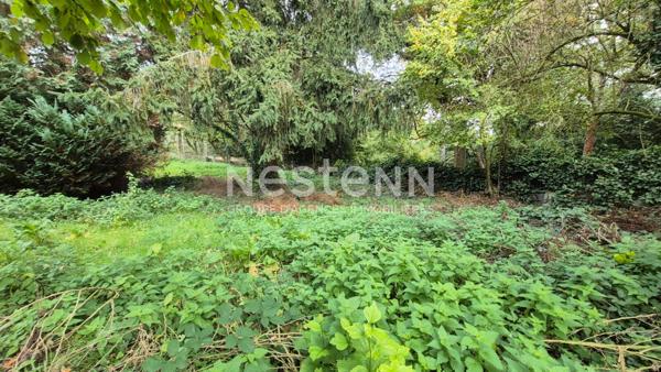 Nestenn Igny - Opportunité rare - Terrain à Palaiseau 503 m2 - Secteur du Pileu proche plateau de Saclay et Vélizy- Transports Bus / RER B Massy Palaiseau, commerces et école Henri Wallon et Lycée Camille Claudel à proximité