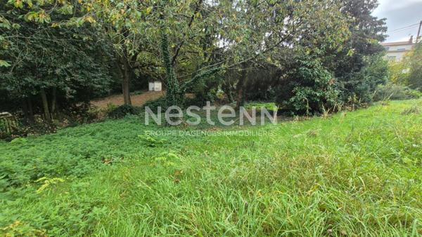 Nestenn Igny - Opportunité rare - Terrain à Palaiseau 503 m2 - Secteur du Pileu proche plateau de Saclay et Vélizy- Transports Bus / RER B Massy Palaiseau, commerces et école Henri Wallon et Lycée Camille Claudel à proximité