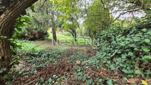 Nestenn Igny - Opportunité rare - Terrain à Palaiseau 503 m2 - Secteur du Pileu proche plateau de Saclay et Vélizy- Transports Bus / RER B Massy Palaiseau, commerces et école Henri Wallon et Lycée Camille Claudel à proximité