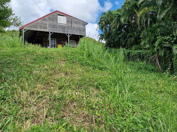 Terrain Le Vauclin 1215 m2