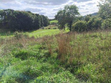 Bâtiment agricole à vendre à Saint-Julien-près-Bort en Corrèze (19110), ref : M47