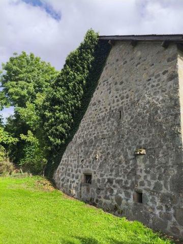 Bâtiment agricole à vendre à Saint-Julien-près-Bort en Corrèze (19110), ref : M47