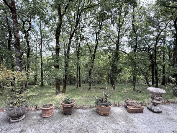 Belle maison familiale au calme à seulement 1 km de Javerlhac