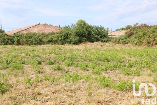 Terrain à vendre 1 119 m² Villeneuve-lès-Béziers