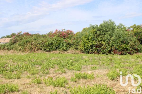 Terrain à vendre 1 119 m² Villeneuve-lès-Béziers