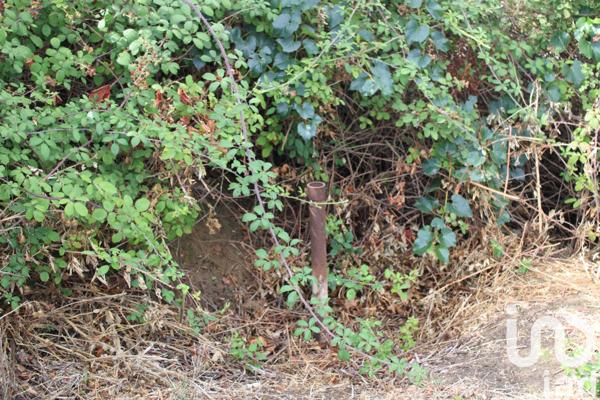 Terrain à vendre 1 119 m² Villeneuve-lès-Béziers