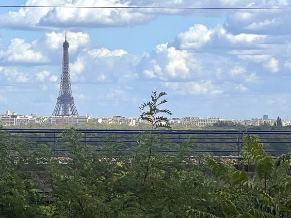 Appartement Suresnes 4 pièce(s) 100 m2