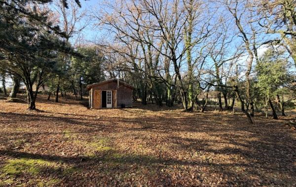 Vente Terrain 3205 m2 Cruviers-lascours   