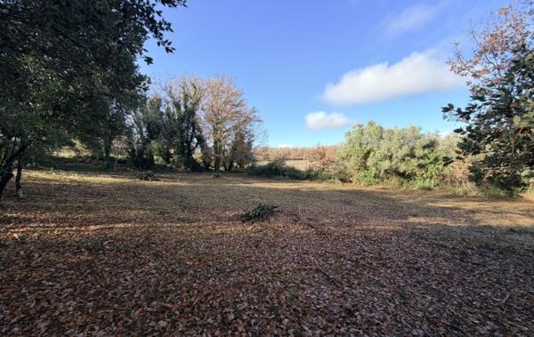 Vente Terrain 3205 m2 Cruviers-lascours   