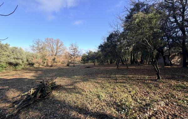 Vente Terrain 3205 m2 Cruviers-lascours   