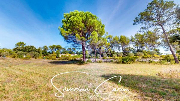 Vue panoramique & calme absolu