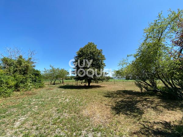 Maison de caractère avec grande dépendance sur 1 hectare de terrain.
