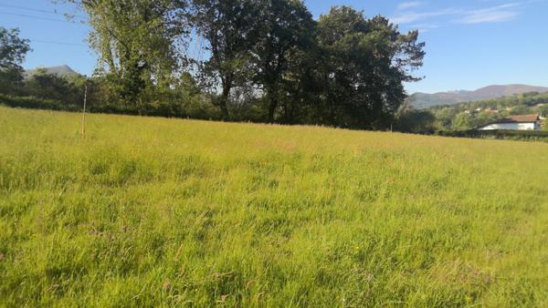 Terrain Ascain 1000 m2