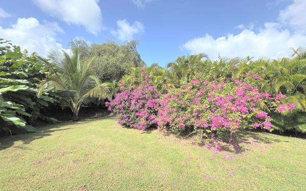 Maison à vendre    5 pièces • 139 m2 Saint-François