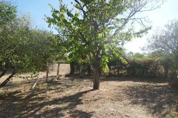 Achat - Maison Coulonges-les-Hérolles 86290 2 pièces 52 m 2 3491 m 2