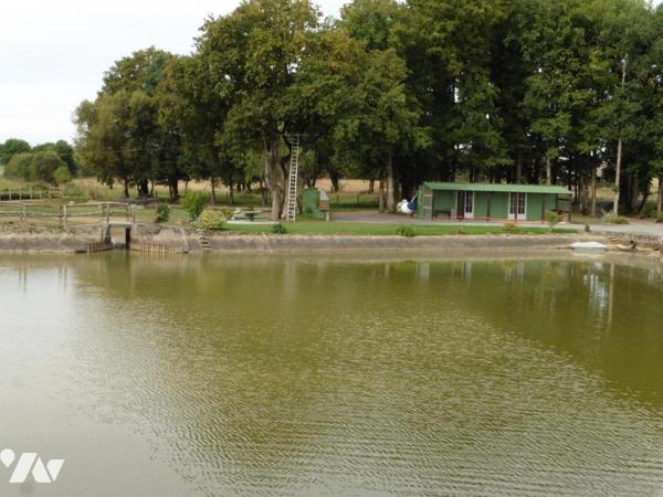 LA CHAPELLE GLAIN, étangs sur terrain clos de 15 910 m²