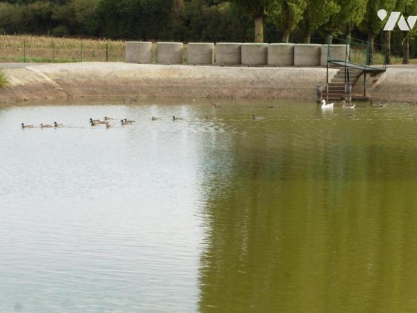 LA CHAPELLE GLAIN, étangs sur terrain clos de 15 910 m²