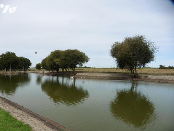 LA CHAPELLE GLAIN, étangs sur terrain clos de 15 910 m²