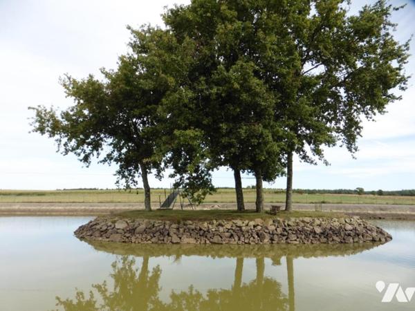 LA CHAPELLE GLAIN, étangs sur terrain clos de 15 910 m²