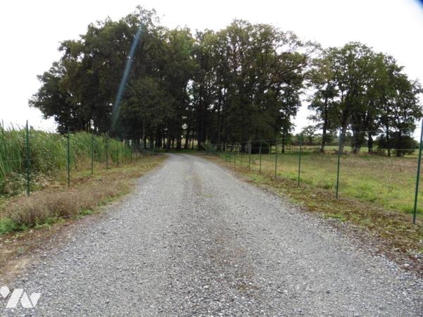 LA CHAPELLE GLAIN, étangs sur terrain clos de 15 910 m²