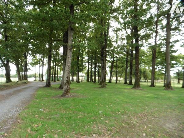 LA CHAPELLE GLAIN, étangs sur terrain clos de 15 910 m²