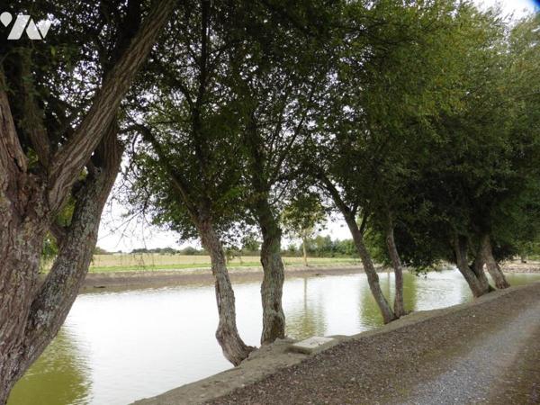 LA CHAPELLE GLAIN, étangs sur terrain clos de 15 910 m²