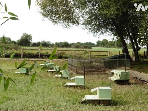 LA CHAPELLE GLAIN, étangs sur terrain clos de 15 910 m²