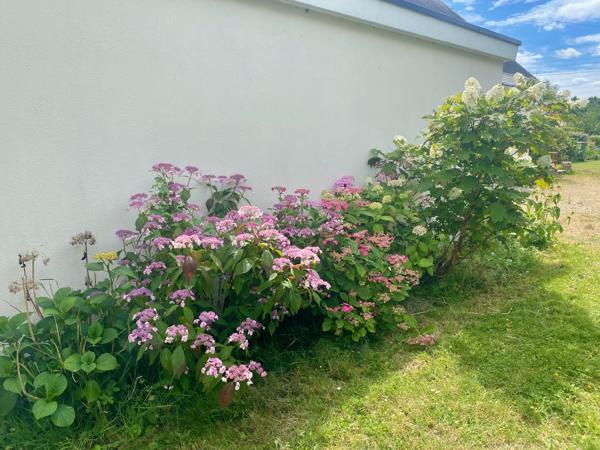 À vendre - Maison individuelle, 9 pièces située à Joué-lès-Tours (37300)