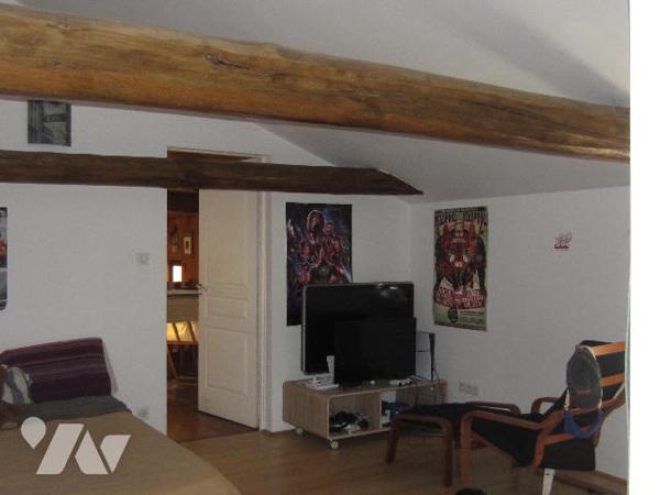 BELLE MAISON AU COEUR DU VILLAGE TBE avec annexe en pierres aménagée et jardin d'agrément