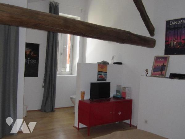 BELLE MAISON AU COEUR DU VILLAGE TBE avec annexe en pierres aménagée et jardin d'agrément