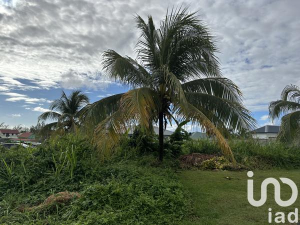 Terrain à vendre 500 m² Capesterre-Belle-Eau