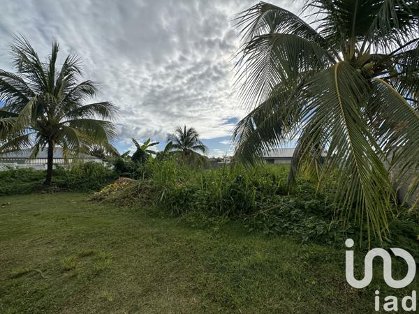 Terrain à vendre 500 m² Capesterre-Belle-Eau