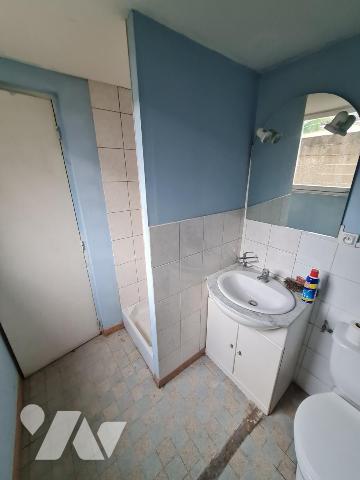 ENSEMBLE IMMOBILIER - A VENDRE- MONTOIRE/ LOIR ( 41800) 
